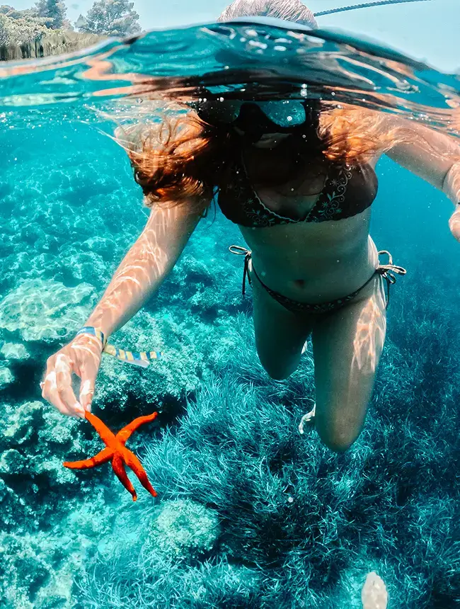 Snorkeling